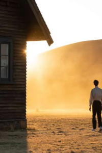 Power of the Dog, The